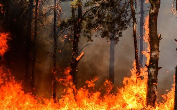 Incêndios. Terras de Bouro e Fafe recebem apoio financeiro para mitigar impacto dos fogos