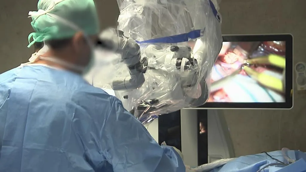 Inspeção em Saúde quer suspender cirurgião durante 40 dias por erros como castração acidental ou perda de rins
