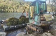 Ponte da Barca combate planta invasora nos rios Lima e Froufe