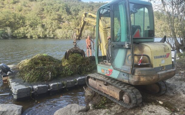 Ponte da Barca combate planta invasora nos rios Lima e Froufe