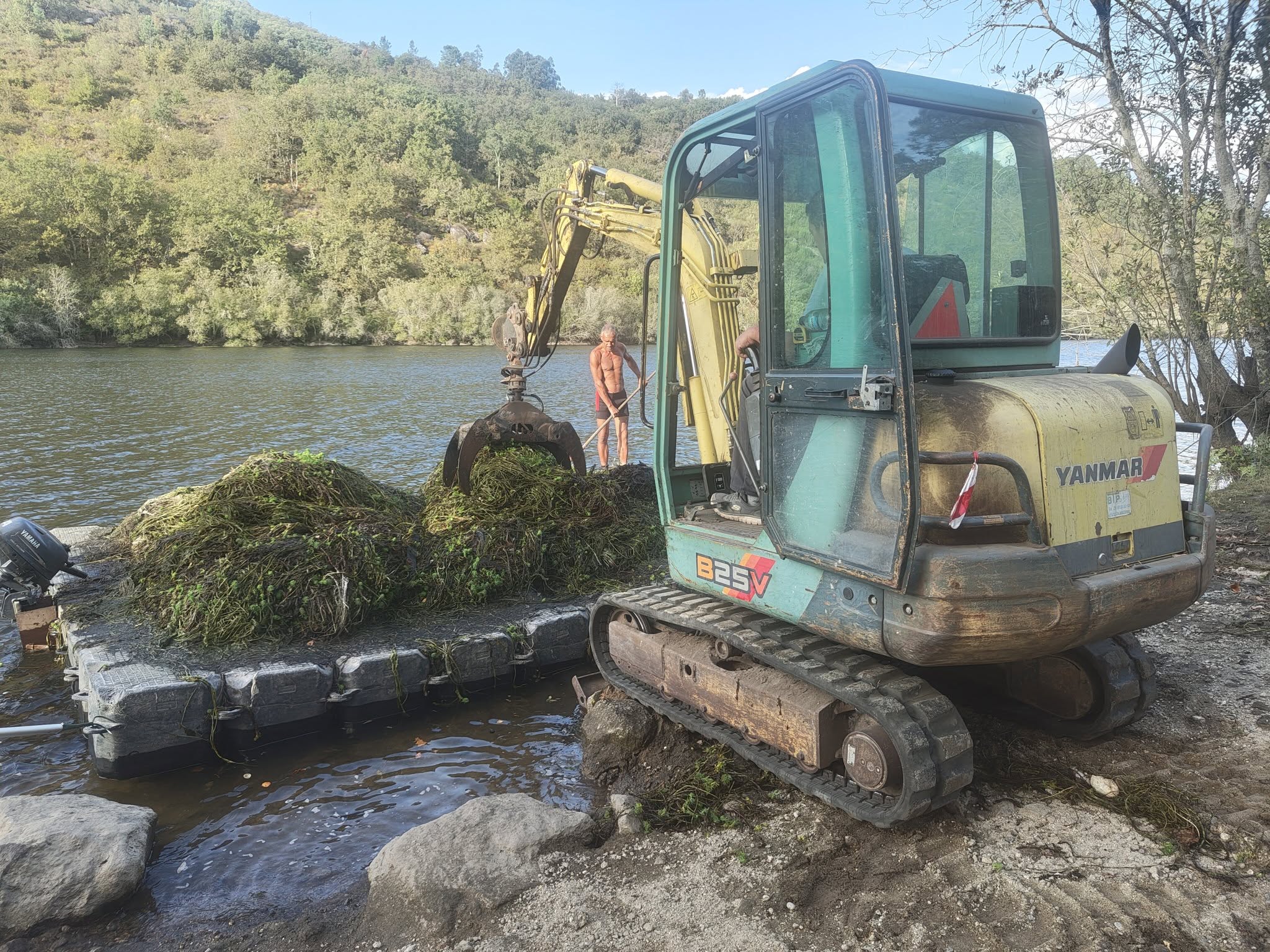 Ponte da Barca combate planta invasora nos rios Lima e Froufe