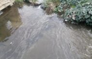 Ambientalista alerta GNR Braga para “cheiros fedorentos” no Rio Torto, em Frossos