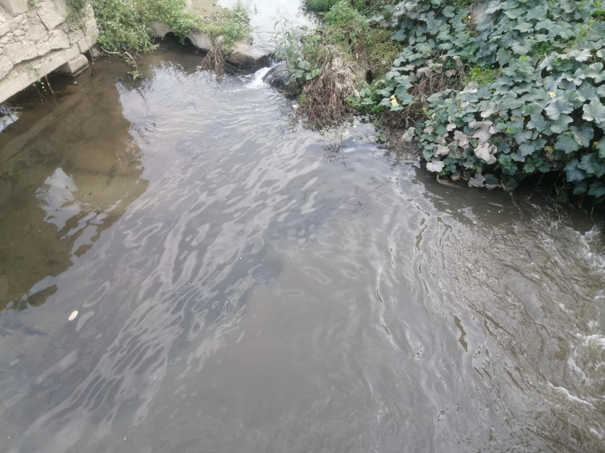 Ambientalista alerta GNR Braga para “cheiros fedorentos” no Rio Torto, em Frossos