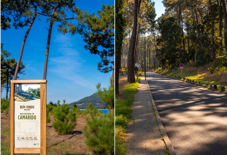 Caminha. Acesso à Praia da Foz do Minho está como novo