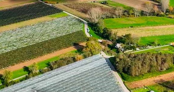 Valença apoia produção biológica e integrada