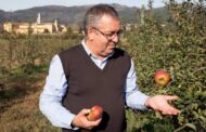 Politécnico de Viana avança com projeto nacional de preservação das maçãs e da memória do Minho