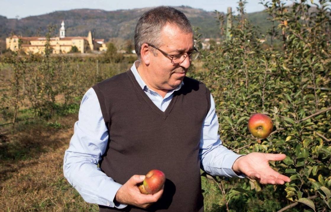 Politécnico de Viana avança com projeto nacional de preservação das maçãs e da memória do Minho