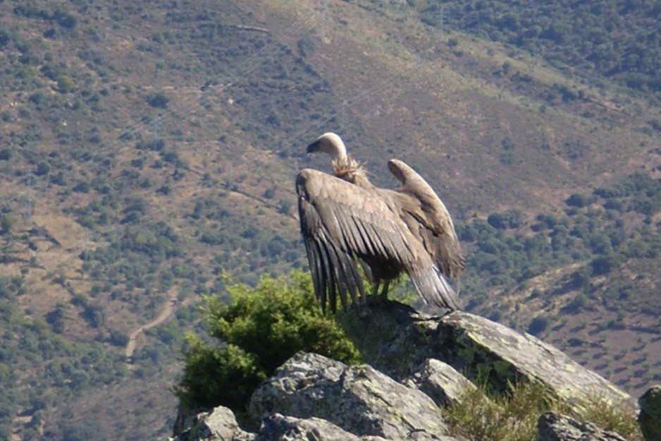 Aprovados 27,5 milhões para projetos de conservação da natureza e biodiversidade no Norte