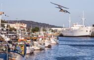 Viana celebra o mar de 8 a 16 de novembro