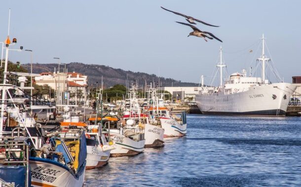Viana celebra o mar de 8 a 16 de novembro