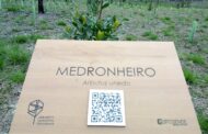 Esposende assinala Semana da Floresta Autóctone sensibilização ambiental