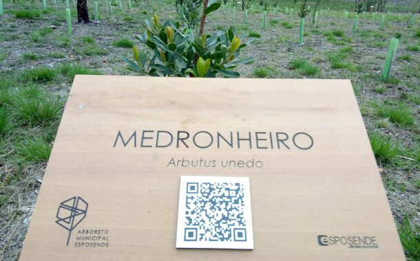 Esposende assinala Semana da Floresta Autóctone sensibilização ambiental