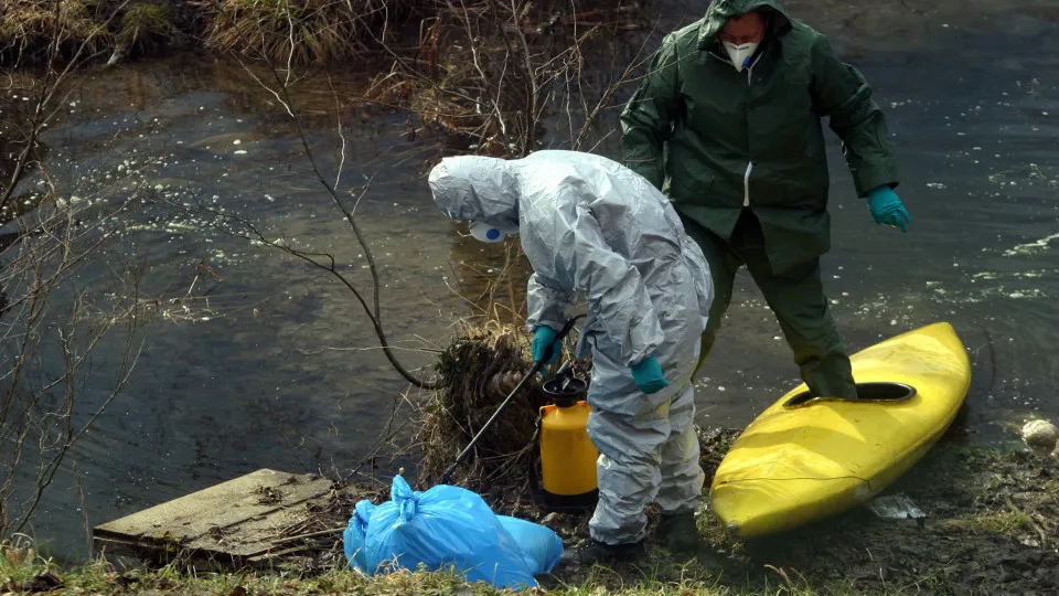 ‘Safari humano’. Italianos investigados por pagar para atirar em civis e crianças em Sarajevo