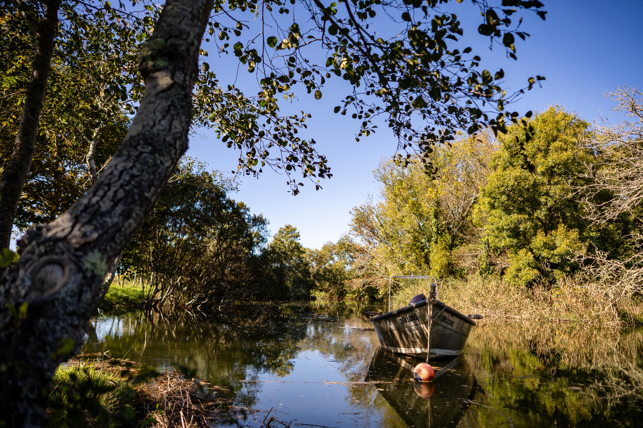 Caminha investe mais de um milhão no rio Coura