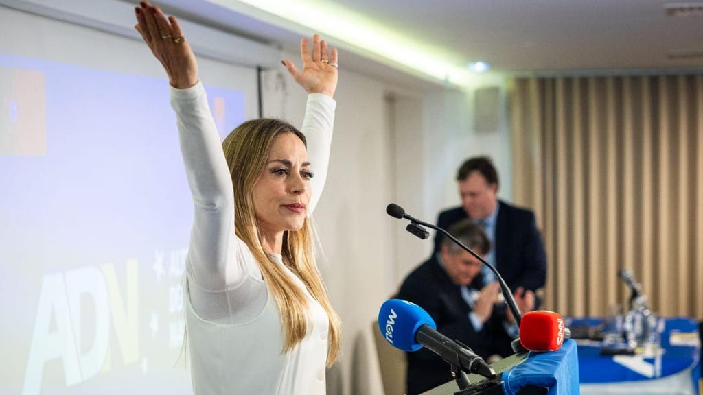 Constitucional exclui Joana Amaral Dias das presidenciais por falhas formais