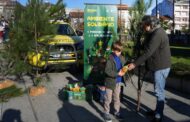 Braga dá pinheiros naturais em troca de bens alimentares