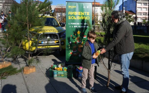 Braga dá pinheiros naturais em troca de bens alimentares
