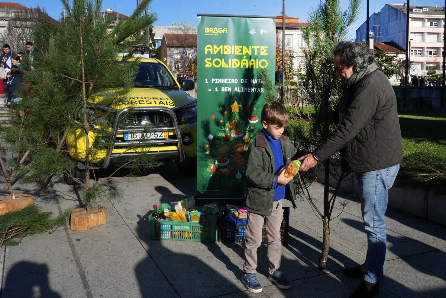 Braga dá pinheiros naturais em troca de bens alimentares