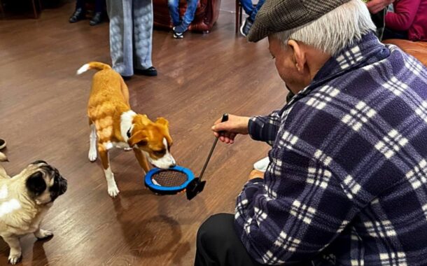 Ponte da Barca promove sessões de socialização de idosos com animais