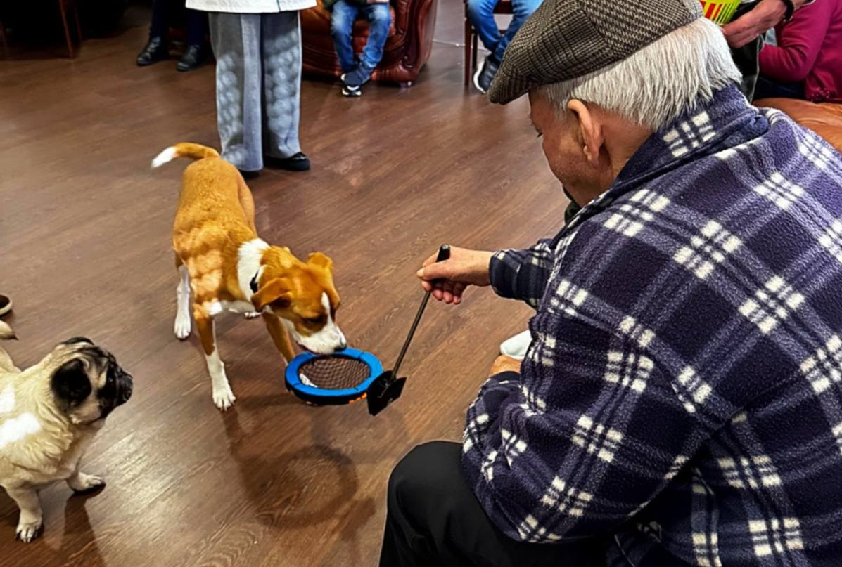 Ponte da Barca promove sessões de socialização de idosos com animais