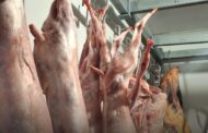 ASAE apreende carcaças de animais e instaura processos-crime por abate clandestino em Braga e Viana do Castelo