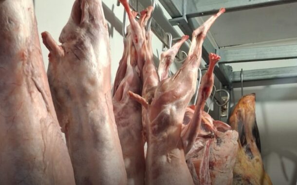 ASAE apreende carcaças de animais e instaura processos-crime por abate clandestino em Braga e Viana do Castelo