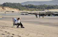 Roterdão, Antuérpia e Amesterdão lideram cidades de origem dos turistas em Portugal nas épocas festivas