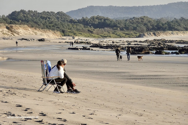 Roterdão, Antuérpia e Amesterdão lideram cidades de origem dos turistas em Portugal nas épocas festivas