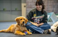 Expo Nacional e Internacional Canina regressa a Ponte de Lima em abril
