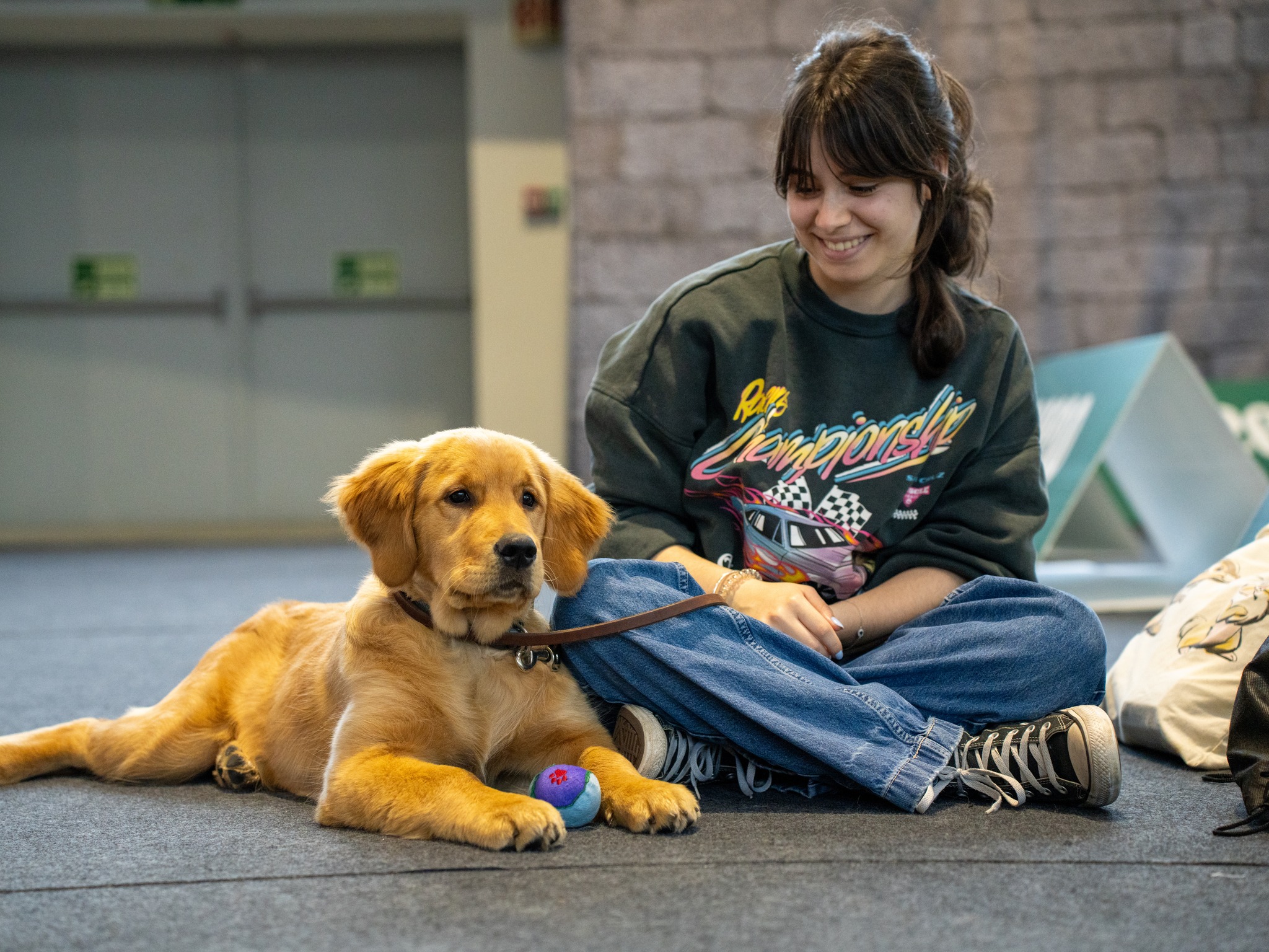 Expo Nacional e Internacional Canina regressa a Ponte de Lima em abril