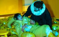 Comédias do Minho levam clássicos de Shakespeare a escolas do 1º ciclo do distrito de Viana
