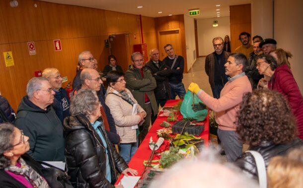 ‘Escola’ de plantas junta meia centena de participantes em Barcelos