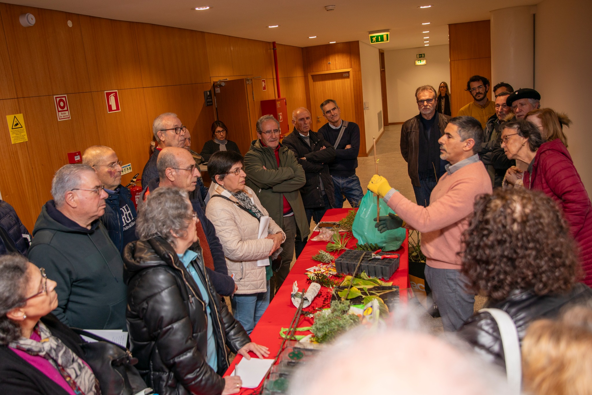 ‘Escola’ de plantas junta meia centena de participantes em Barcelos