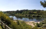 Autarcas do Alto Minho e Galiza exigem respostas urgentes para o rio Minho