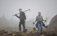 Mais de duas mil árvores começam a ser plantadas este sábado em Guimarães