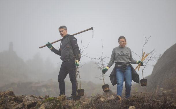 Mais de duas mil árvores começam a ser plantadas este sábado em Guimarães