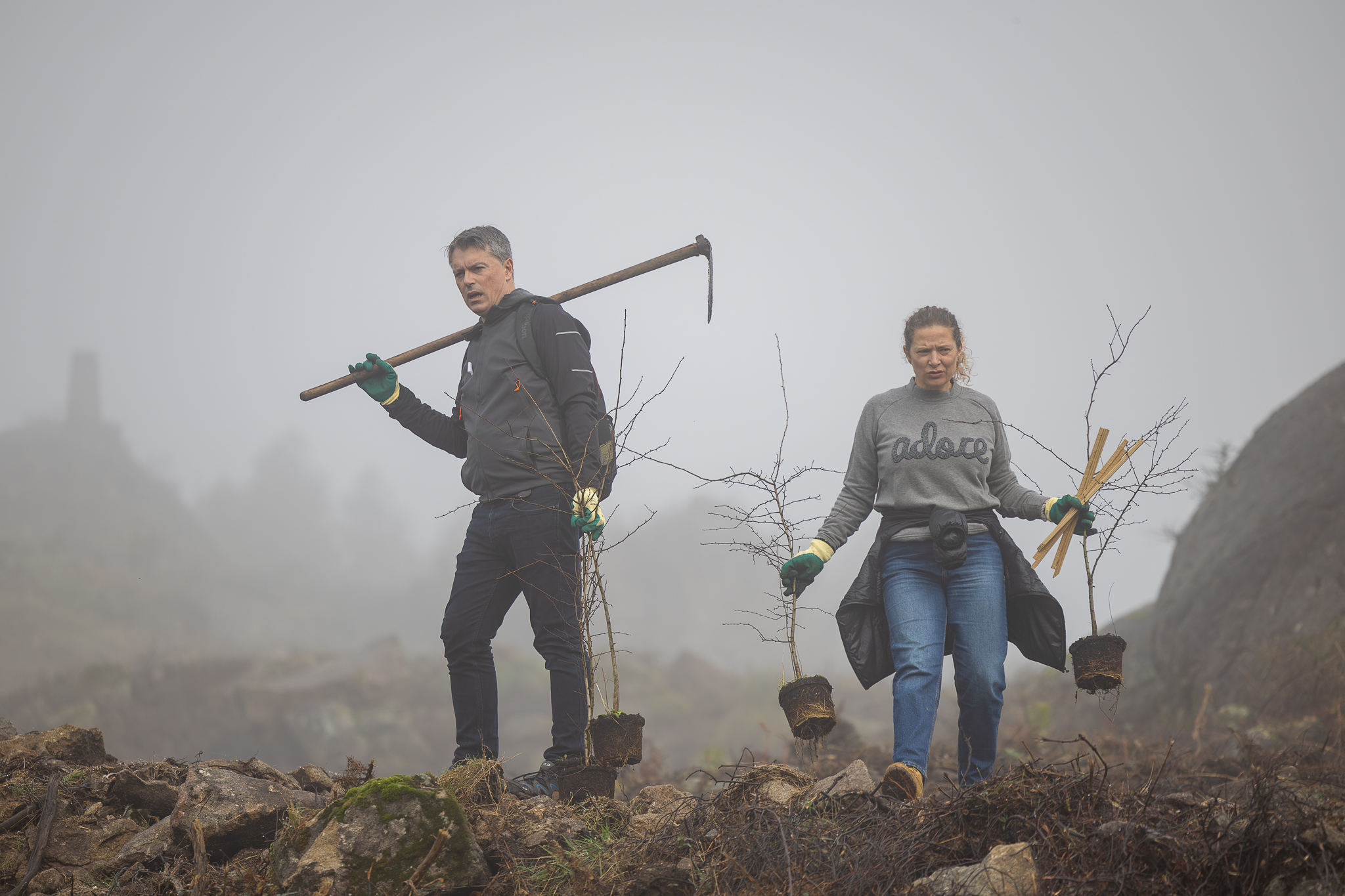 Mais de duas mil árvores começam a ser plantadas este sábado em Guimarães
