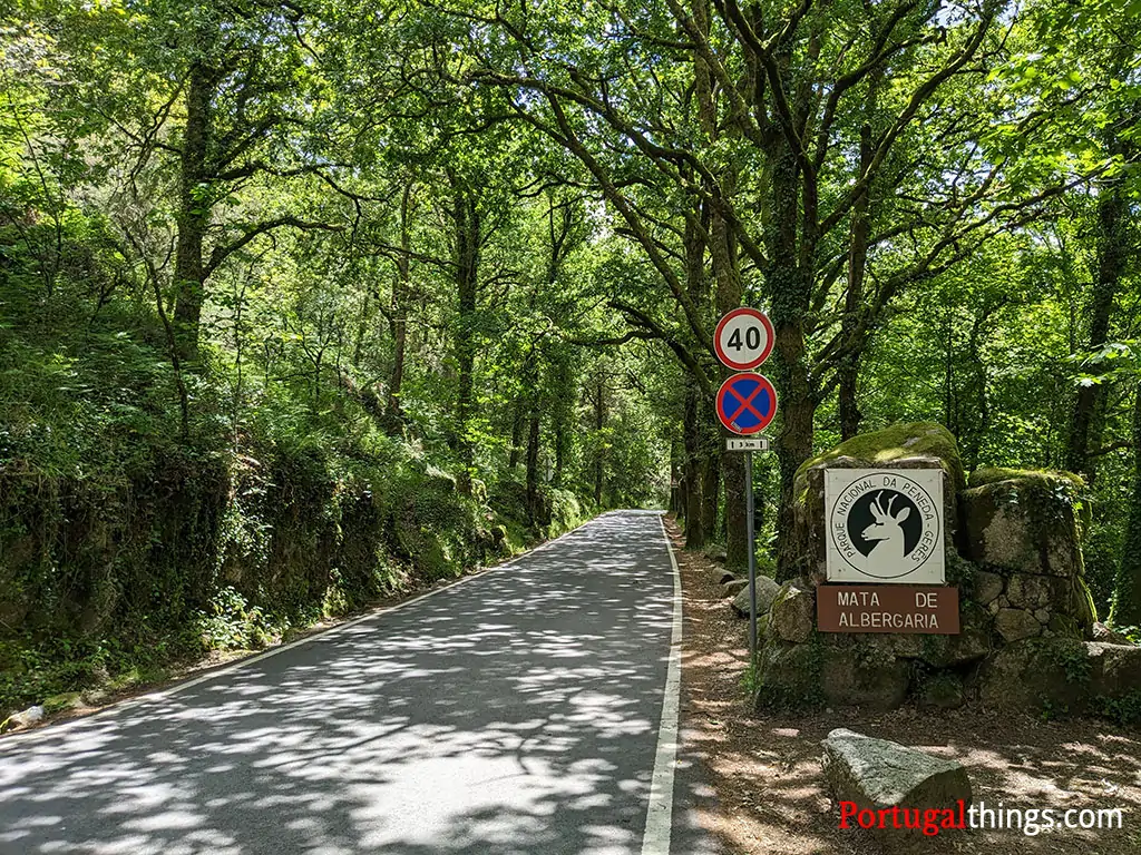 Terras de Bouro. BE questiona Ministério do Ambiente sobre pavimentação da estrada de Mata de Albergaria