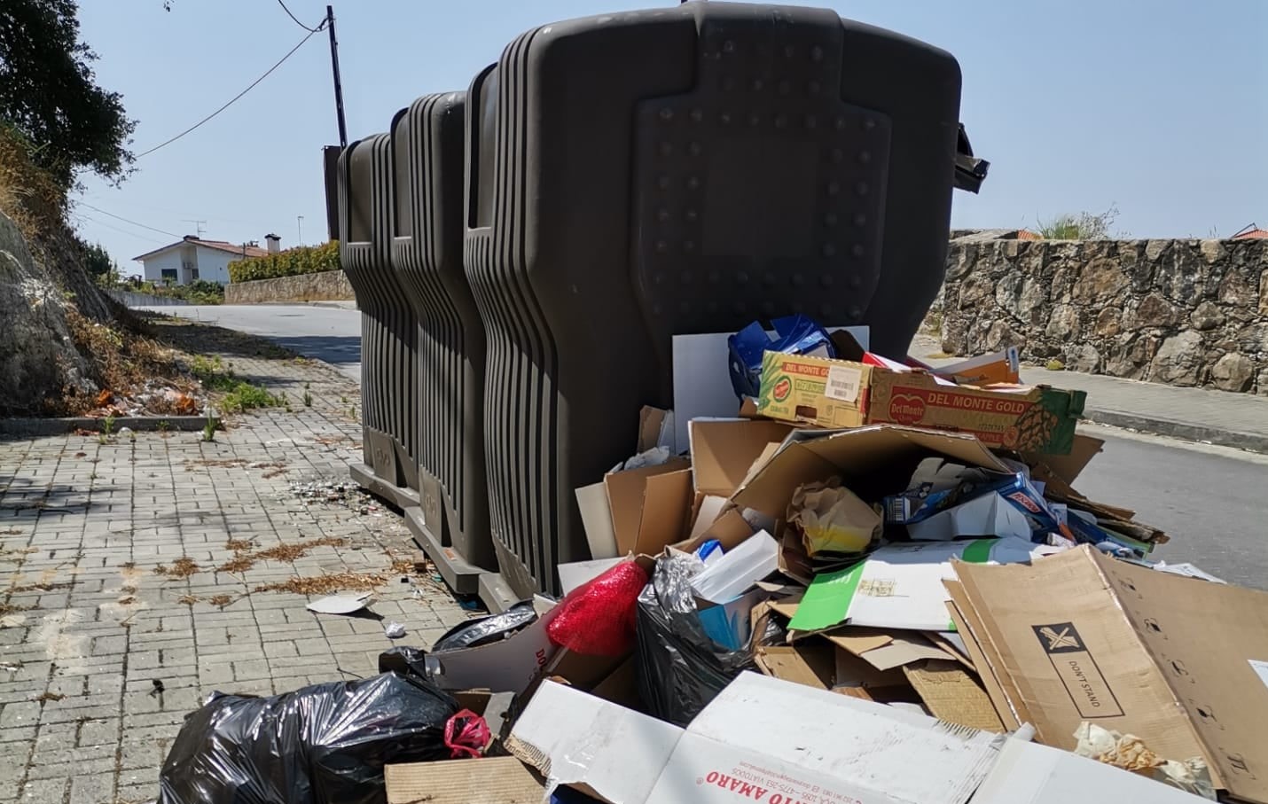 Viana do Castelo sensibiliza para correta utilização dos contentores do lixo