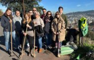 TUB ultrapassam meta de reflorestação e plantam 600 árvores no concelho de Braga em 2025