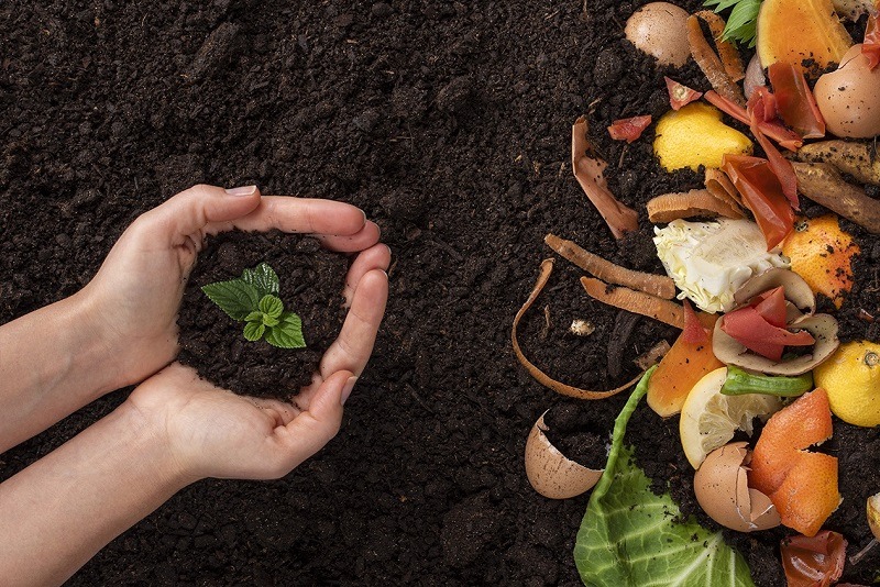 Esposende amplia projeto de compostagem