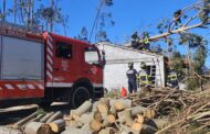 Sapadores de Braga reforçam apoio às populações de Pombal após Kristin