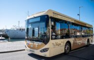 Viana com passe único a 20 euros por mês