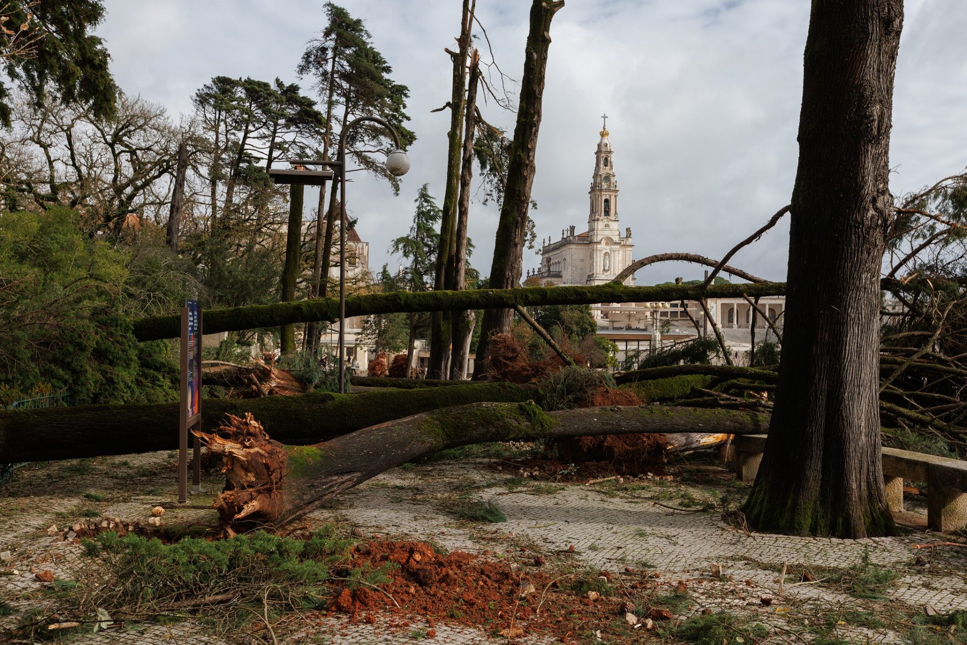 Mau tempo. Santuário de Fátima com prejuízos superiores a 2 milhões de euros