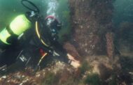 Universidade do Minho integra rede EuroMarine para reforçar investigação marinha