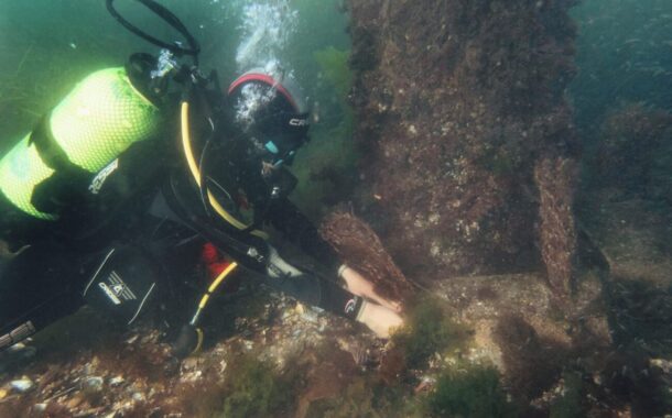 Universidade do Minho integra rede EuroMarine para reforçar investigação marinha