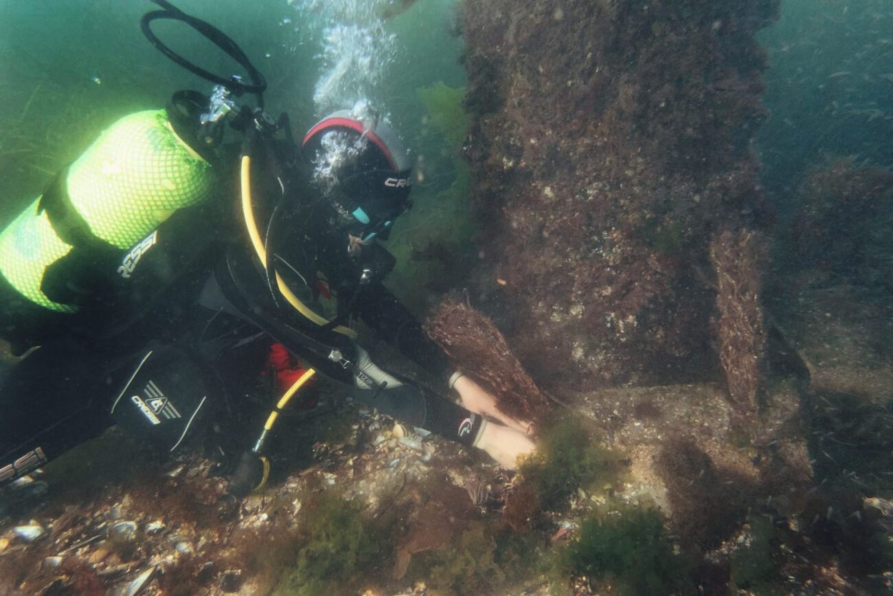 Universidade do Minho integra rede EuroMarine para reforçar investigação marinha