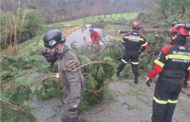Organizações de busca e salvamento de Famalicão e Monção no apoio a populações no centro do país (c/vídeo)