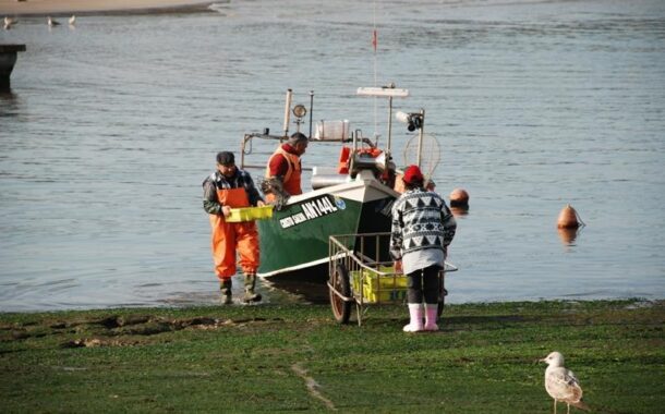 Pescadores de Caminha sem rendimentos pedem apoio urgente ao Governo