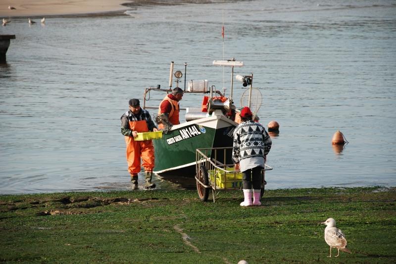 Pescadores de Caminha sem rendimentos pedem apoio urgente ao Governo